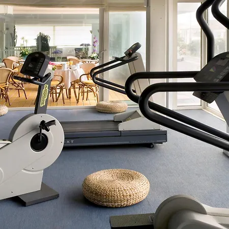 シーナ アスター