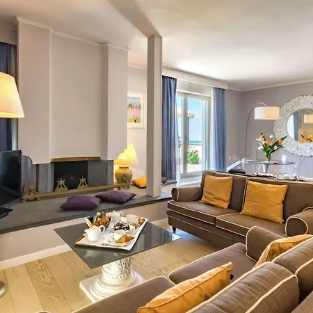 シーナ アスター