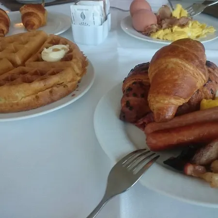 酒店 新那阿斯特酒店 4*