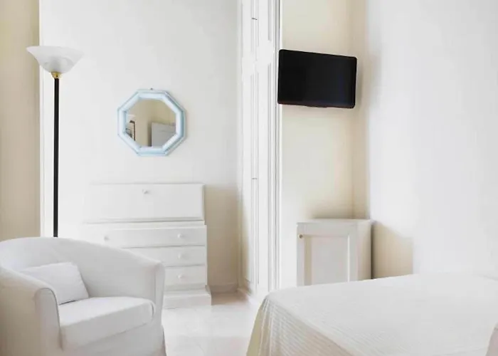 シーナ アスター