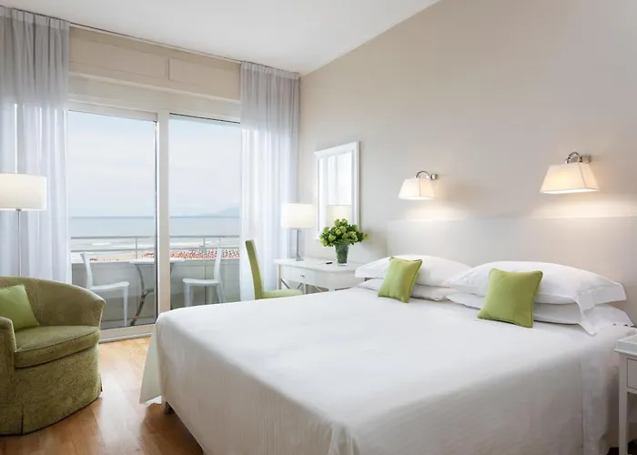 ホテル シーナ アスター ヴィアレッジョ