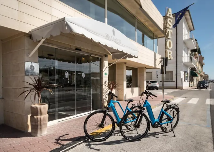 シーナ アスター 4* ヴィアレッジョ