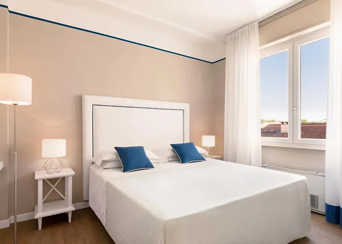 シーナ アスター