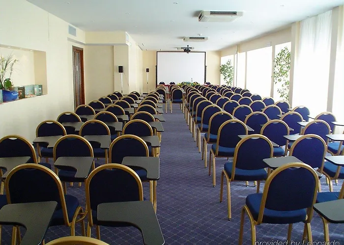 シーナ アスター